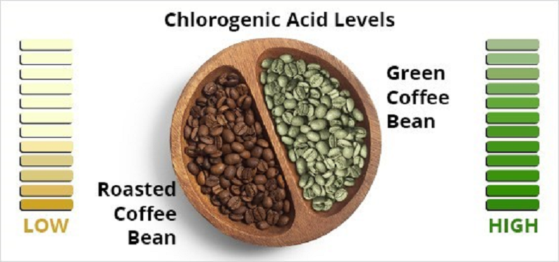 Hạt cà phê không chỉ chứa caffein - Góc nhìn chi tiết trong hóa học