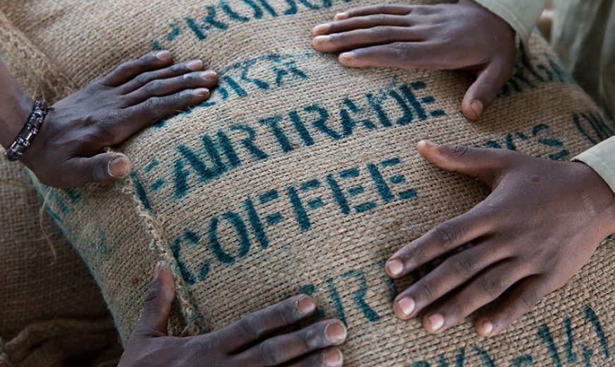 Vai trò và động lực của các tập đoàn đa quốc gia đối với trách nhiệm xã hội trong ngành cà phê