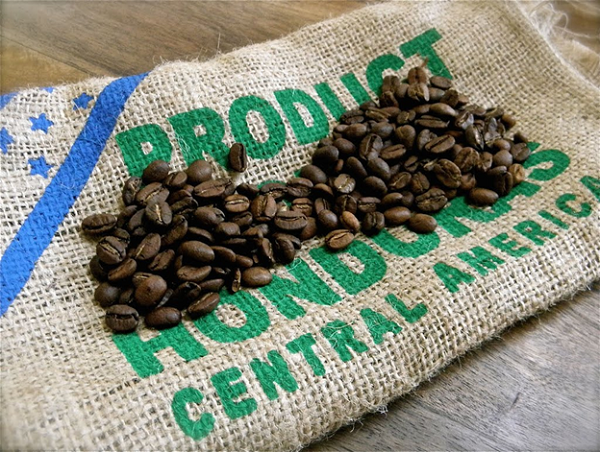 Honduras đứng thứ 5 về lượng xuất khẩu cà phê