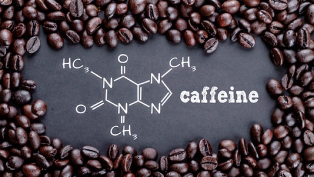 Caffeine là chất đặc biệt làm nên giá trị cho cây cà phê