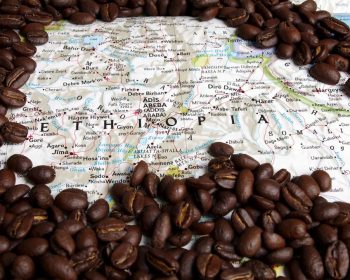 Từ tổng quan đến chi tiết về hạt cà phê Ethiopia