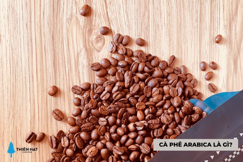 Cà phê Arabica là gì?