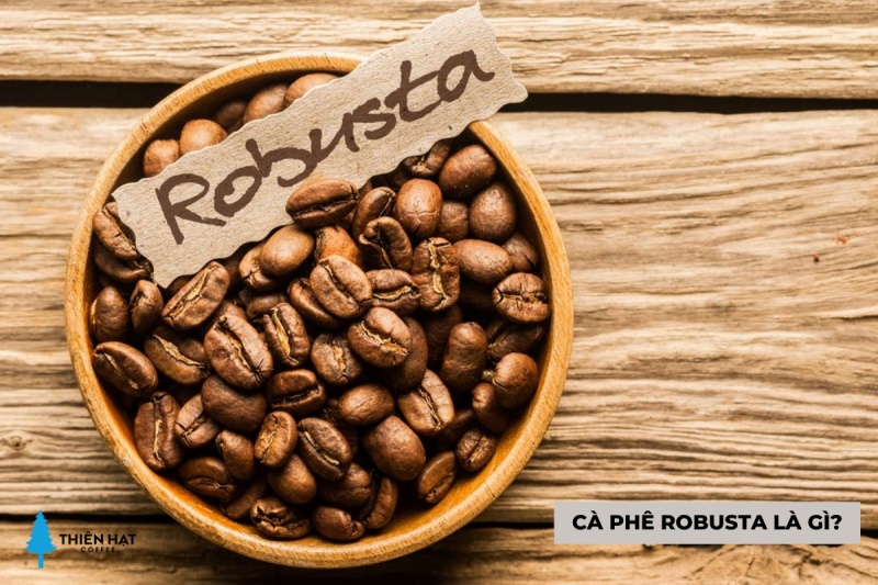 Ý nghĩa của cái tên cà phê Robusta là gì?